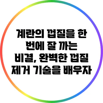 계란의 껍질을 한 번에 잘 까는 비결, 완벽한 껍질 제거 기술을 배우자