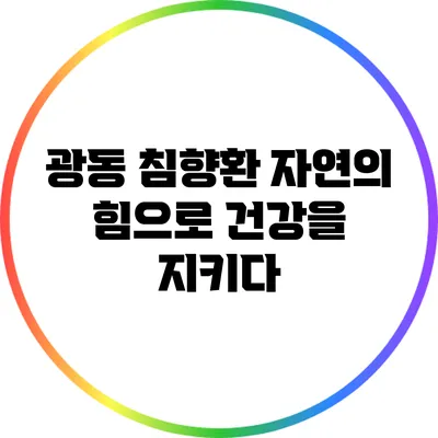 광동 침향환: 자연의 힘으로 건강을 지키다