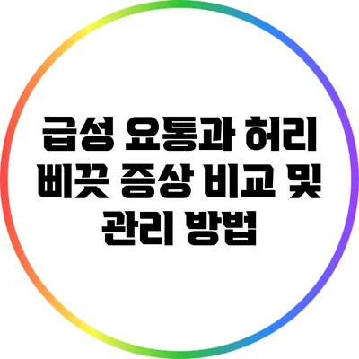 급성 요통과 허리 삐끗: 증상 비교 및 관리 방법
