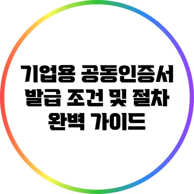기업용 공동인증서 발급 조건 및 절차 완벽 가이드