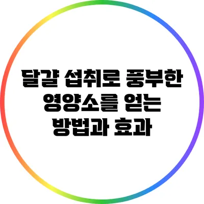 달걀 섭취로 풍부한 영양소를 얻는 방법과 효과