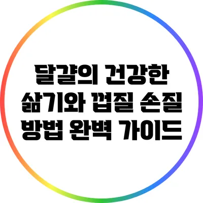 달걀의 건강한 삶기와 껍질 손질 방법 완벽 가이드
