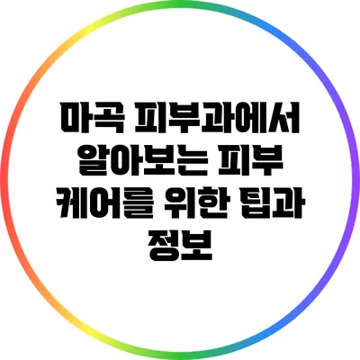마곡 피부과에서 알아보는 피부 케어를 위한 팁과 정보
