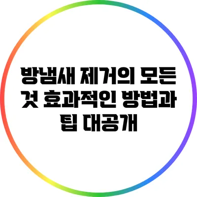 방냄새 제거의 모든 것: 효과적인 방법과 팁 대공개