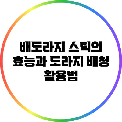 배도라지 스틱의 효능과 도라지 배청 활용법