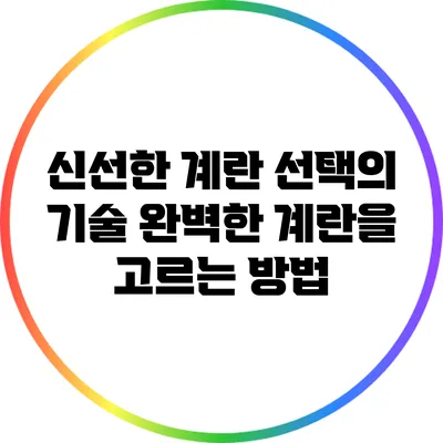 신선한 계란 선택의 기술: 완벽한 계란을 고르는 방법
