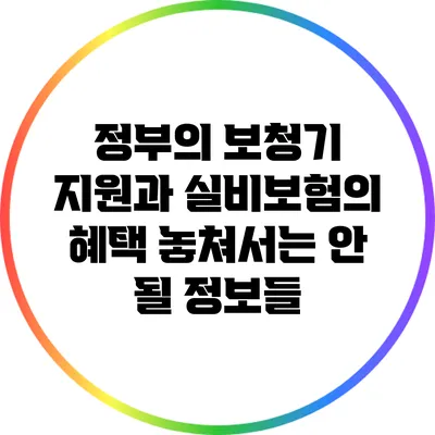정부의 보청기 지원과 실비보험의 혜택: 놓쳐서는 안 될 정보들