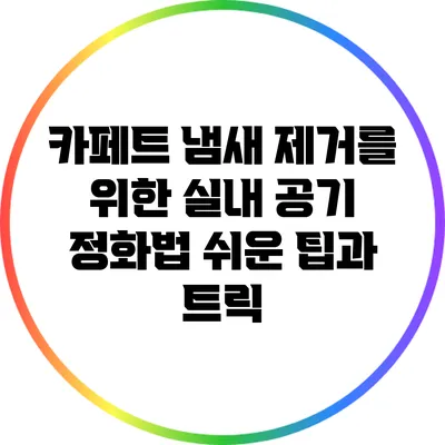 카페트 냄새 제거를 위한 실내 공기 정화법: 쉬운 팁과 트릭