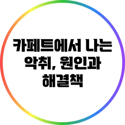 카페트에서 나는 악취, 원인과 해결책