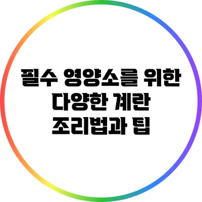 필수 영양소를 위한 다양한 계란 조리법과 팁