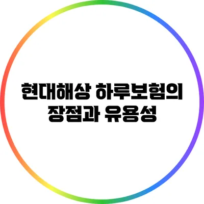 현대해상 하루보험의 장점과 유용성