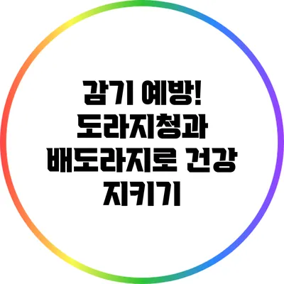 감기 예방! 도라지청과 배도라지로 건강 지키기