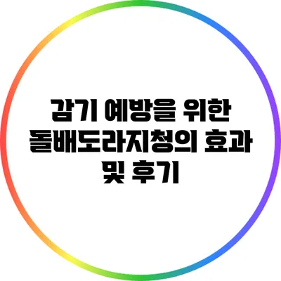 감기 예방을 위한 돌배도라지청의 효과 및 후기