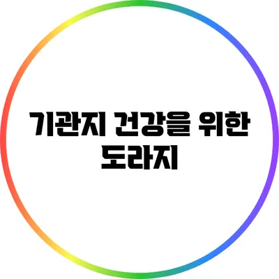 기관지 건강을 위한 도라지