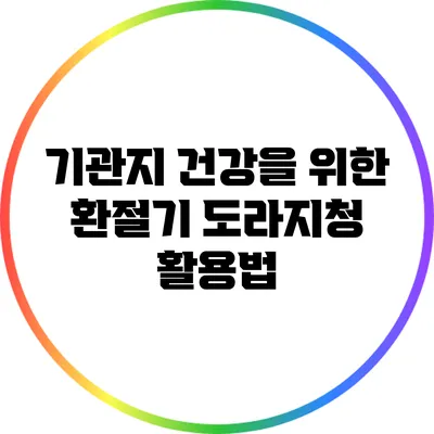 기관지 건강을 위한 환절기 도라지청 활용법