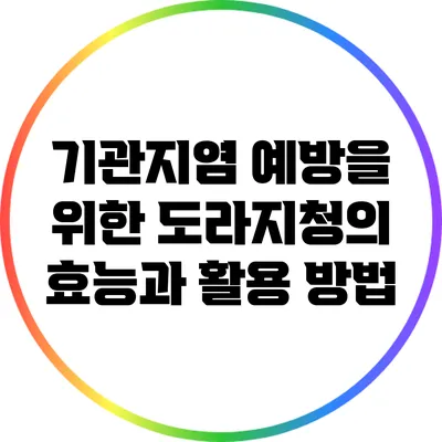 기관지염 예방을 위한 도라지청의 효능과 활용 방법