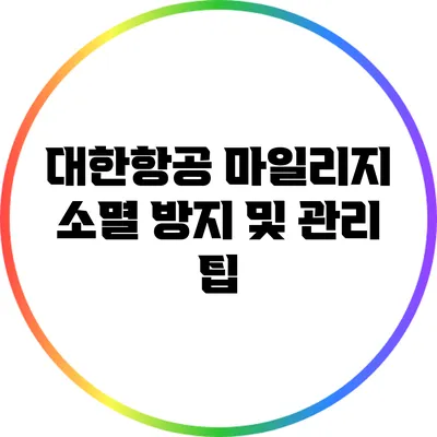 대한항공 마일리지 소멸 방지 및 관리 팁