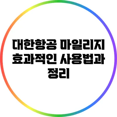 대한항공 마일리지 효과적인 사용법과 정리