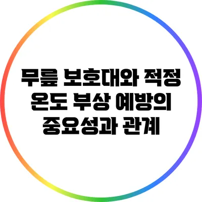 무릎 보호대와 적정 온도: 부상 예방의 중요성과 관계