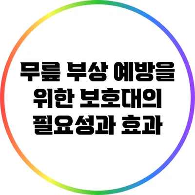 무릎 부상 예방을 위한 보호대의 필요성과 효과