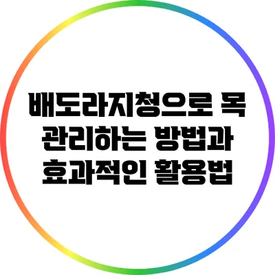 배도라지청으로 목 관리하는 방법과 효과적인 활용법