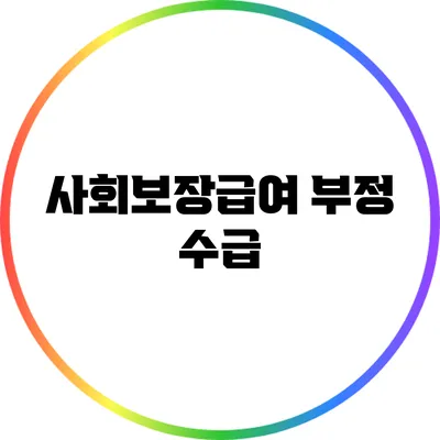 사회보장급여 부정 수급