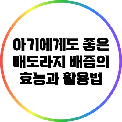 아기에게도 좋은 배도라지 배즙의 효능과 활용법