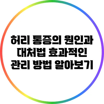 허리 통증의 원인과 대처법: 효과적인 관리 방법 알아보기