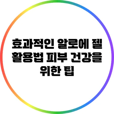 효과적인 알로에 젤 활용법: 피부 건강을 위한 팁