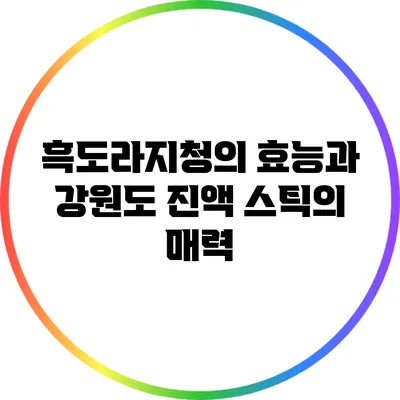 흑도라지청의 효능과 강원도 진액 스틱의 매력