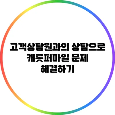고객상담원과의 상담으로 캐롯퍼마일 문제 해결하기