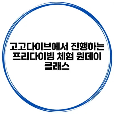 고고다이브에서 진행하는 프리다이빙 체험 원데이 클래스