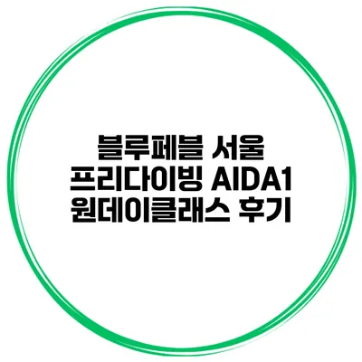 블루페블 서울 프리다이빙 AIDA1 원데이클래스 후기