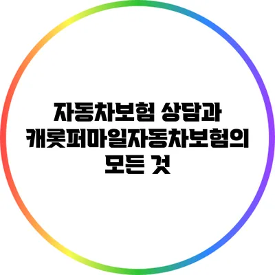 자동차보험 상담과 캐롯퍼마일자동차보험의 모든 것